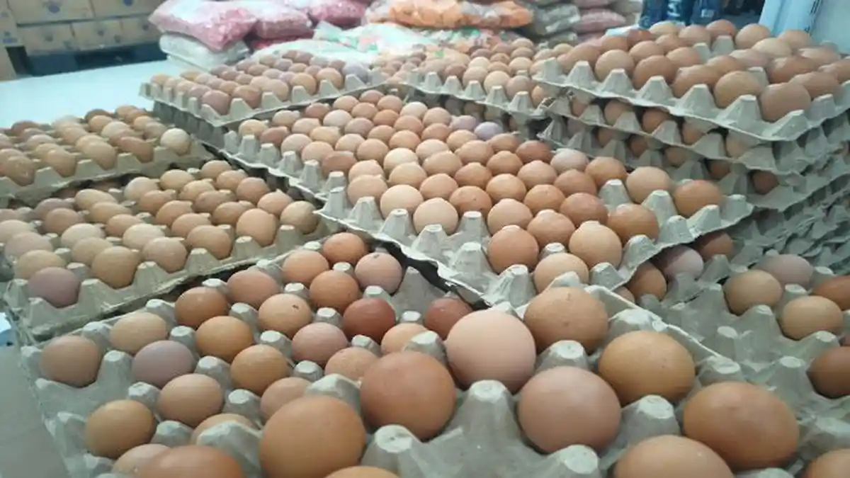 HASIL Monitoring Pengendalian Inflasi, Harga Cabai Rawit dan Telur di Batam Naik