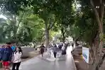 Jogging Track Kambang Iwak Palembang Selesai Direvitalisasi, Makin Nyaman jadi Lokasi Berolahraga
