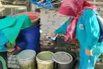 pemberantasan-sarang-nyamuk.jpg