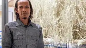 Modal-Ranting-Kayu-Alumnus-ISI-Yogyakarta-Ini-Sabet-Juara-Seni-Asia-Tenggara.jpg