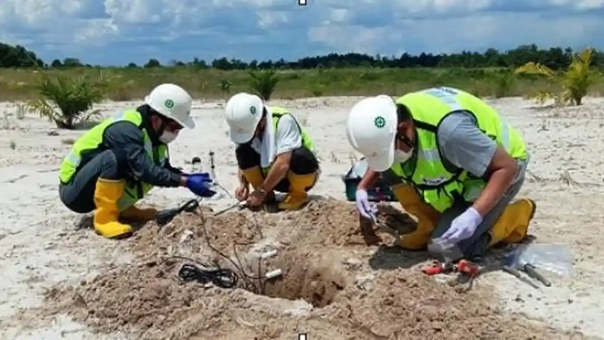 Prospek Perbaikan Lahan Eks Tambang Timah