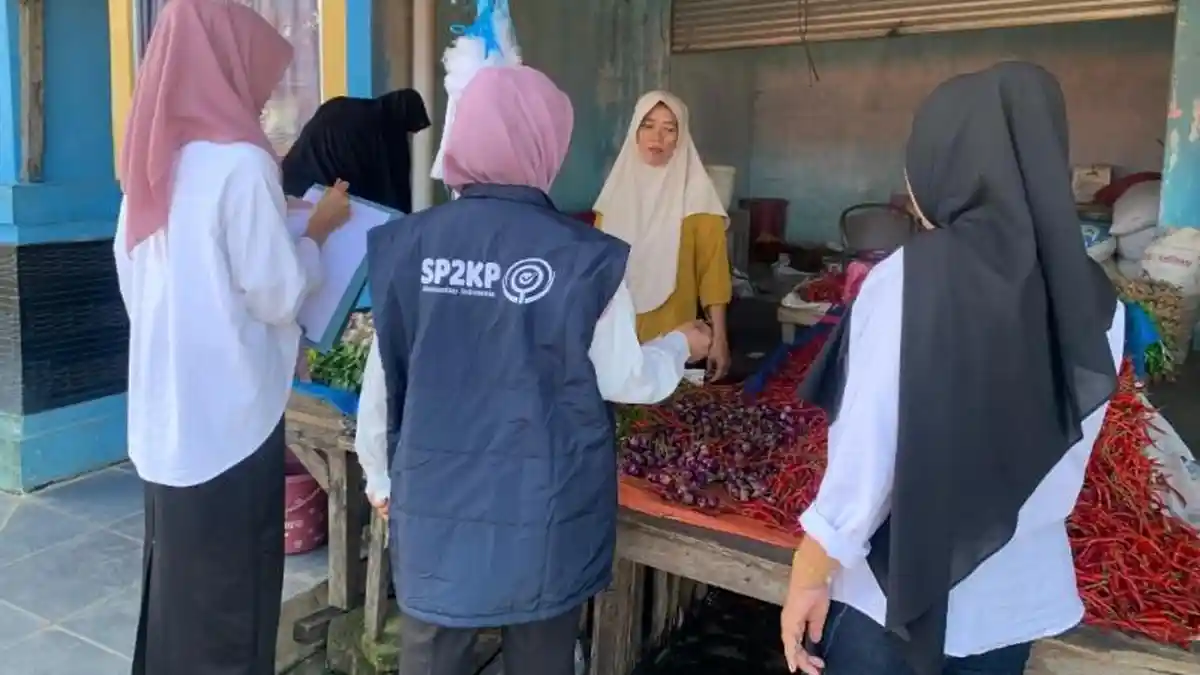 Harga Harga Cabai Merah di Pesisir Barat Lampung Turun Rp 5 Ribu per Kg