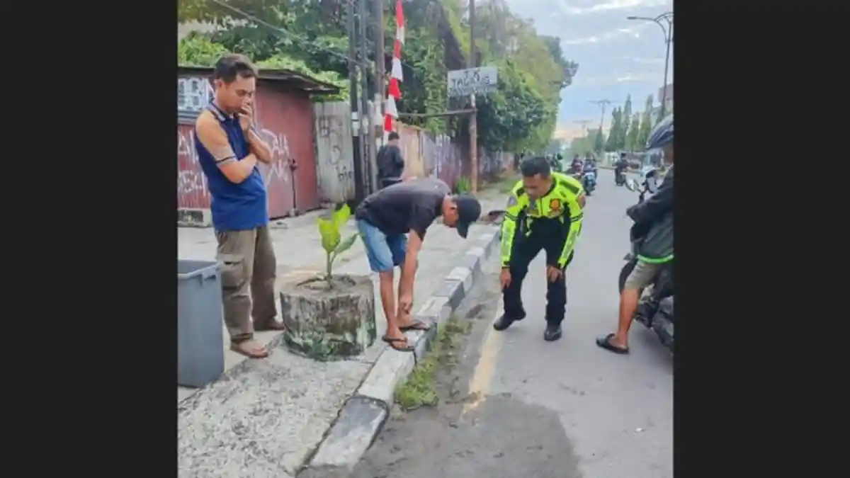 Pemicu Kecelakaan Maut di Medan, Wanita 24 Tahun Tewas Hantam Tiang Listrik - Tribunbatam.id