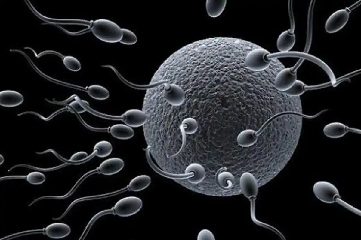 Inilah 14 Cara Tingkatkan Kualitas Sperma untuk Mendukung Program Hamil (1): seperti Mengelola Stres