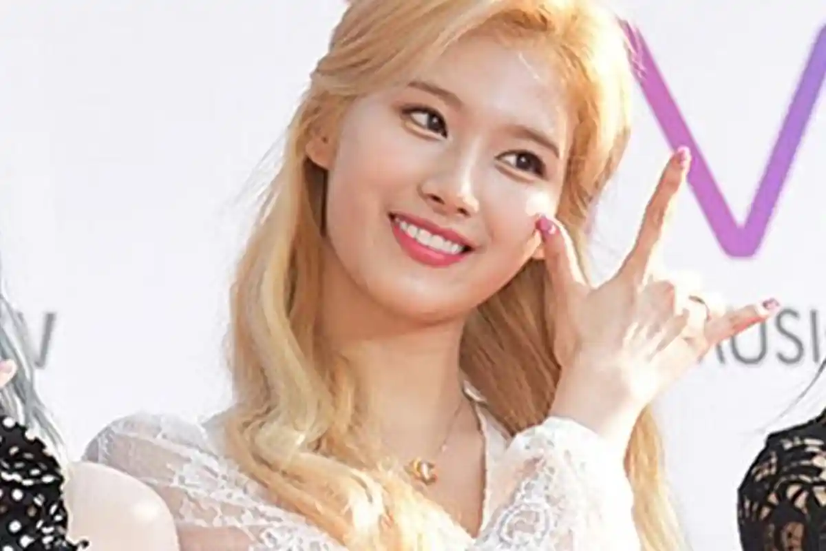 TRIBUNWIKI: Kpop Idol Sana TWICE Jatuh Saat Melenggang di Red Carpet, Ini Profilnya