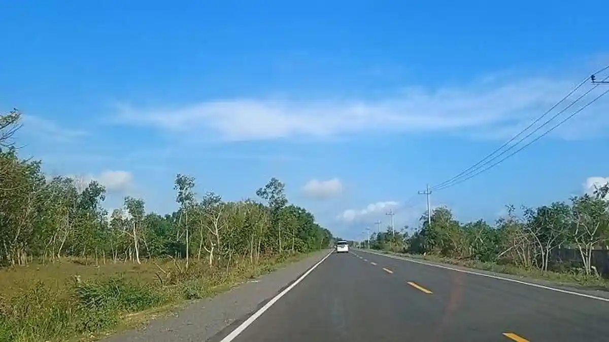 Kelanjutan Jalur Lingkar Selatan di Jember Terkendala 40 Hektar Lahan Milik PTPN dan Perhutani