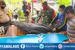 Berlibur di Pantai Paseban Jember, Dua Wisatawan Asal Karawang Tewas Digulung Ombak