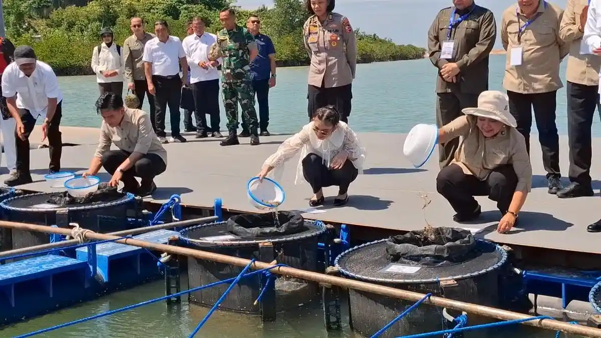 Kunker ke Batam, Wapres Gibran dan Titiek Soeharto Lepas Benih Lobster ke Keramba