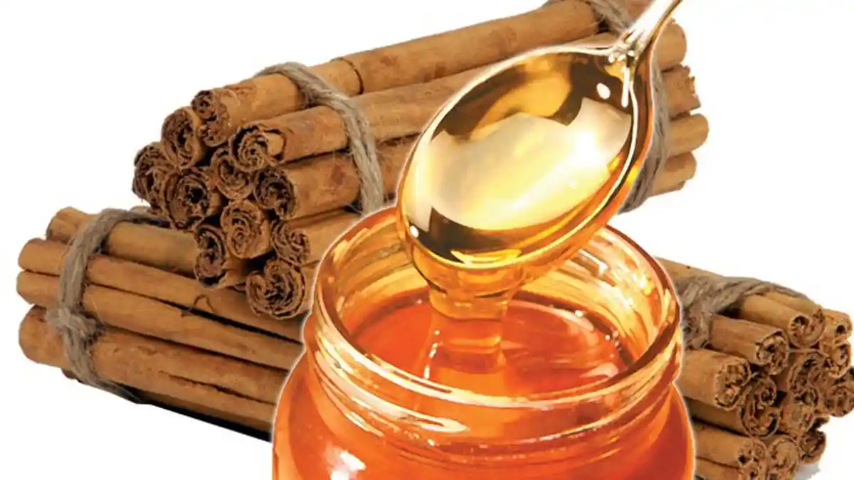 Minum Campuran Madu dan Kayu Manis Setiap Hari, 10 Hal Ajaib Ini Bakal Kamu Rasakan!