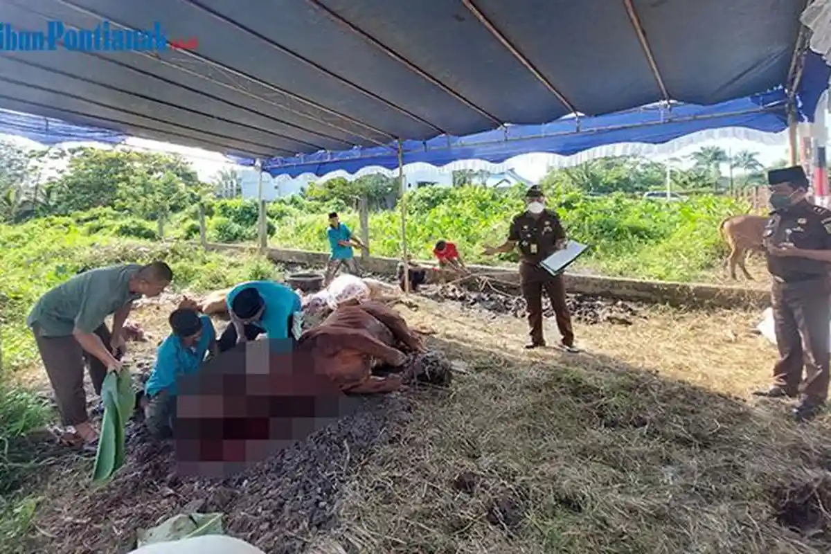 Dosa Atau Tidak Bagi Orang Mampu Tapi Tidak Berkurban Saat Idul Adha 1444 Hijriah