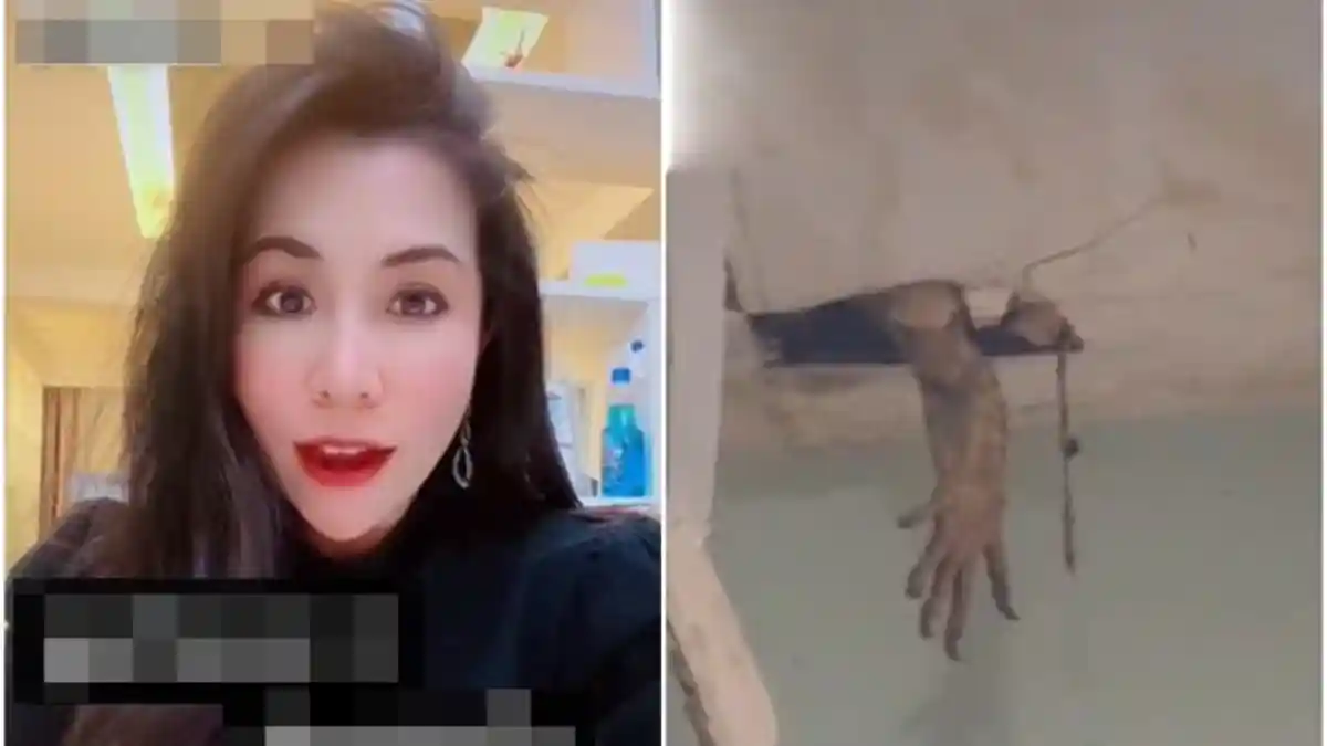 CURIGA Suara Aneh, Wanita Ketakutan Begitu Cek Atap Rumah, Ada Tangan Hitam Mengerikan