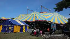 Ada-60-Balita-Taman-Safari-Akui-Banyak-Anak-Kecil-Diambil-Paksa-Pemilik-Sirkus.jpg