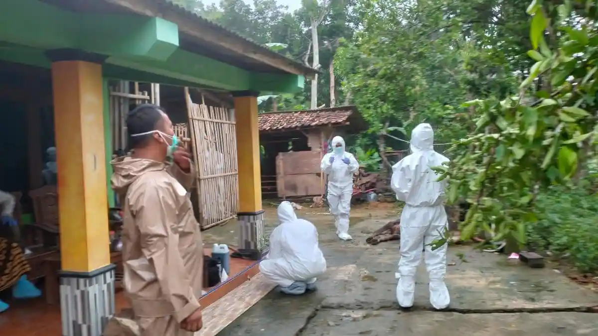 Kasus Antraks di Gunungkidul, Pakar UGM: Hewan Sakit Tidak Boleh Dipotong