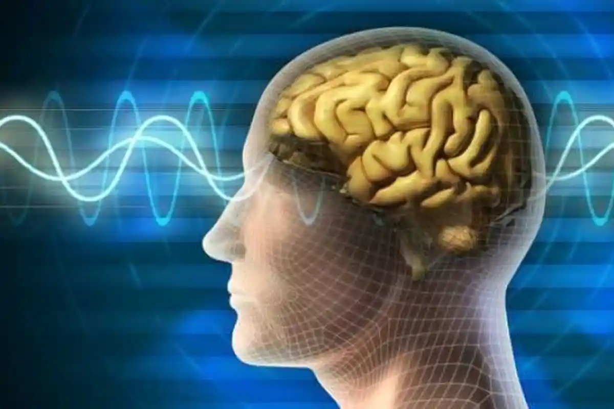 5 Fakta Tentang Otak Manusia yang Jarang Diketahui, Otak manusia Sebagian Besar Terdiri dari Air