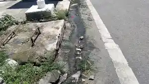 BOCOR-SAPUTENK.jpg