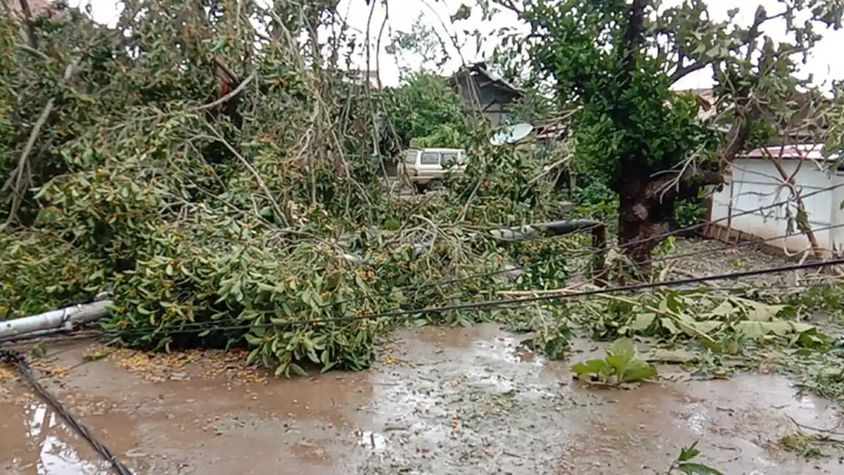 Sampah Menumpuk, Wali Kota Minta Pemilik Truk dan Pick Up Terlibat