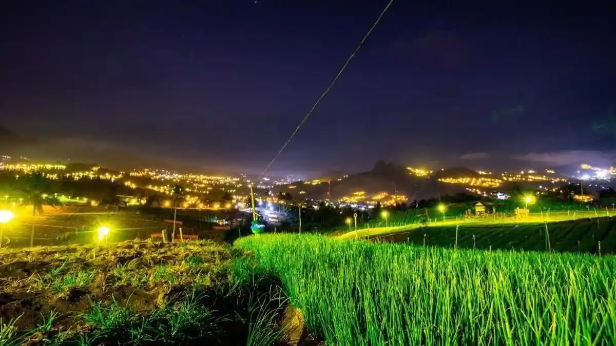 Listrik PLN Hemat Biaya Operasional Petani Sulsel hingga 75 Persen per Bulan