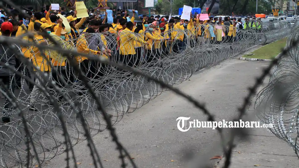 FOTO: Mahasiswa Unilak dan Stikes Hang Tuah Demo di Depan DPRD Riau - foto_mahasiswa_unilak_dan_stikes_hang_tuah_demo_di_depan_dprd_riau_4.jpg