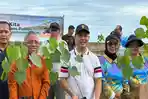 pohon-strategis-di-kawasan-Pantai-Camar.jpg