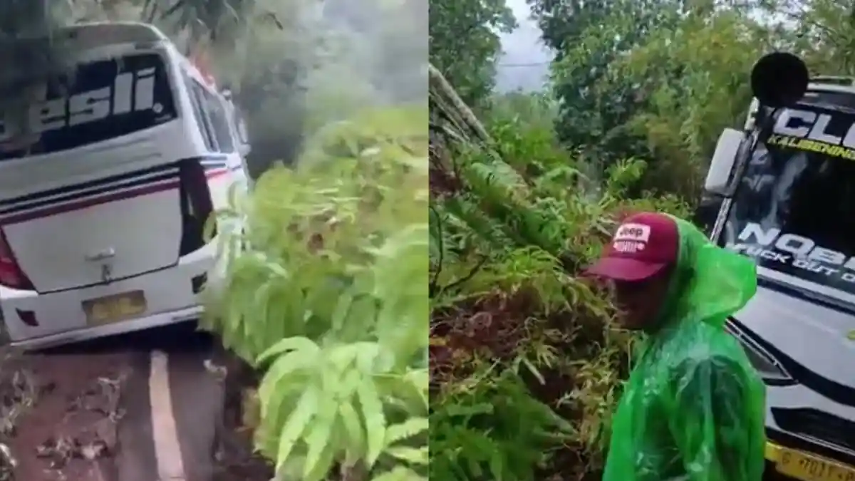 1 Bus Terjebak Material Longsor Dari Tebing Setinggi 15 Meter di Jalan Pekalongan-Banjarnegara