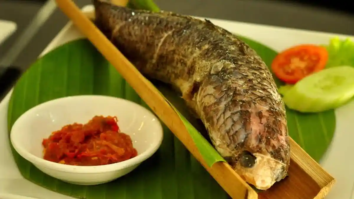 Kandungan Nutrisi Ikan Gabus hingga Manfaatnya Buat Kesehatan