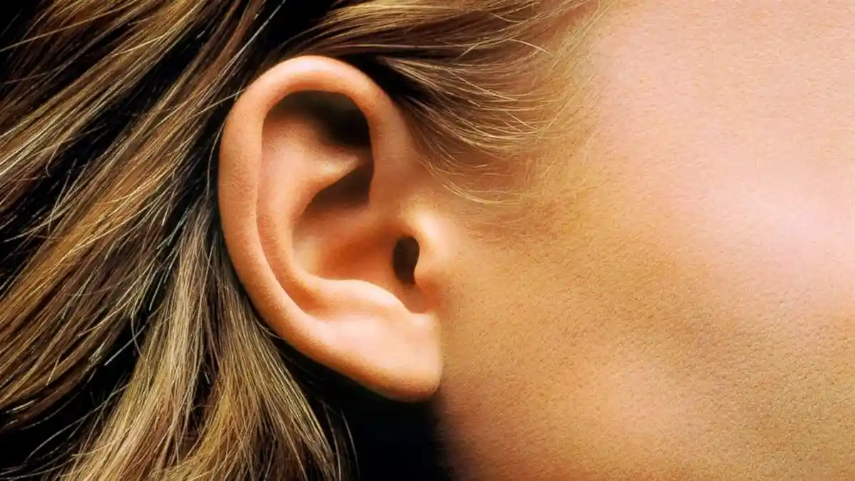 Arti Telinga Kanan Berdenging Bunyi Nging di Pagi Hari Pukul 00:00 - 10:00 Menurut Primbon Jawa