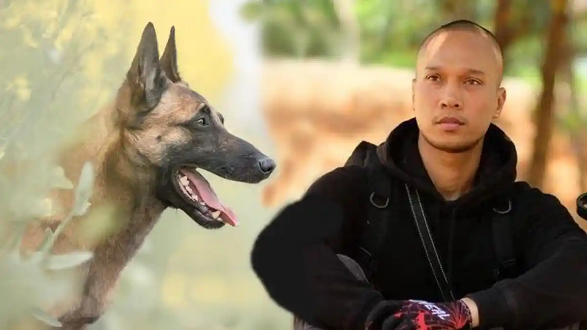 Pengakuan Bima Aryo Terkait Tewasnya ART yang Diserang oleh Anjing Berjenis Malinois Belgian