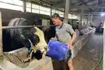BIB Jateng Minta masyarakat Jangan Kurban Hewan Betina Produktif
