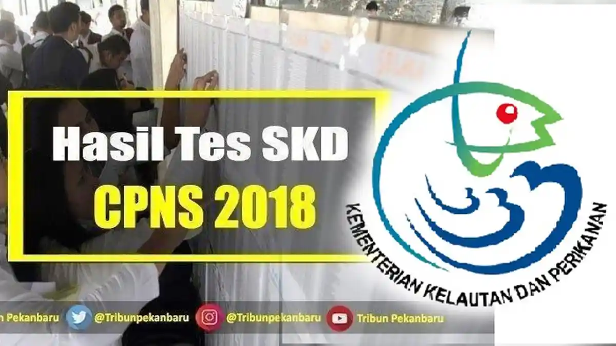 Link Hasil SKD CPNS Kementerian Kelautan Perikanan 2018, 203 Instansi Siap Rilis Daftar Peserta SKB