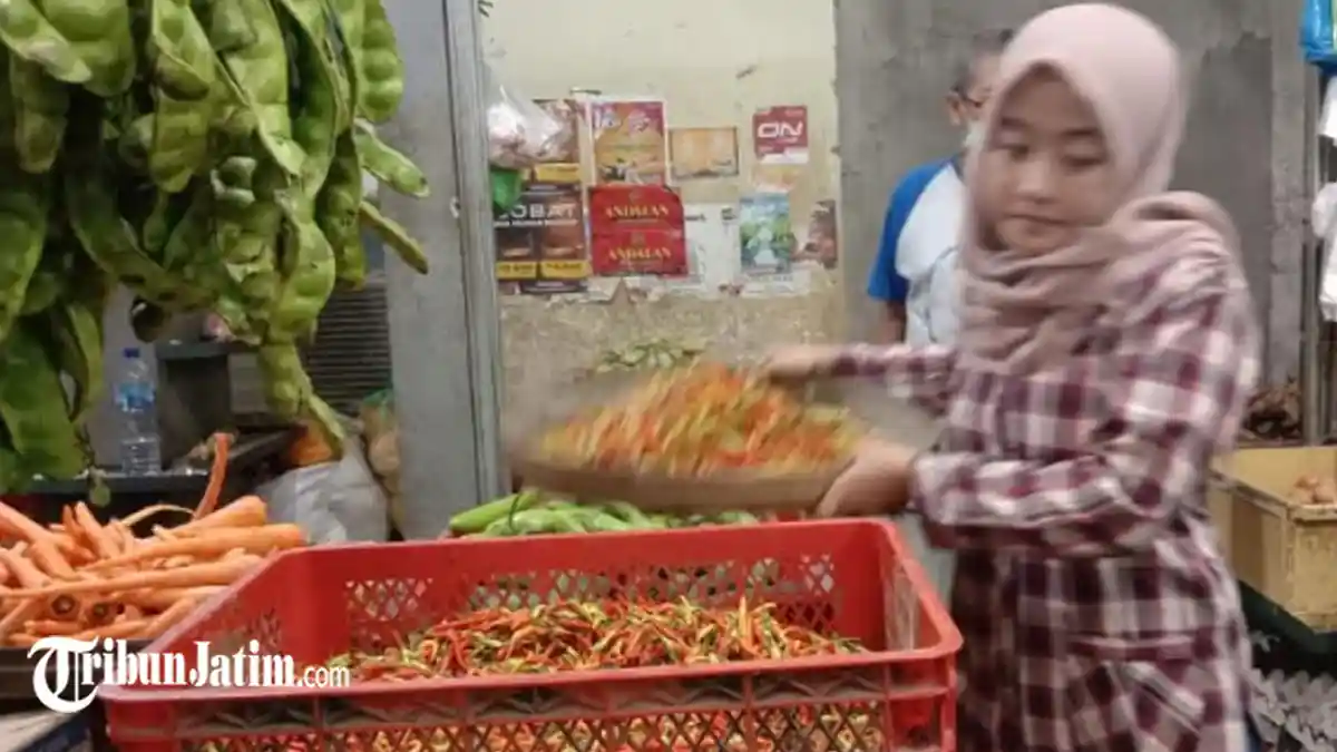 Harga Cabai Rawit di Lamongan Mencapai Puncak, Sudah Sepekan Ini Tembus Rp 105 Ribu Per Kilogram