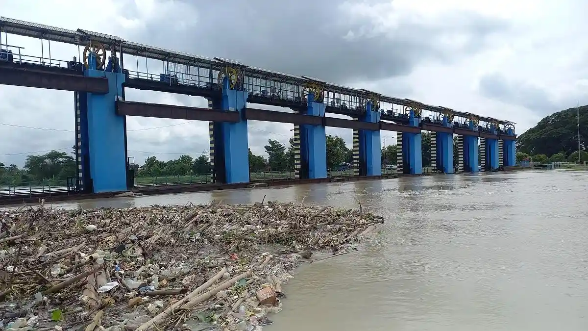 Kementerian Pertanian Didesak Tangani Banjir di Demak, Cegah Lahan Puso