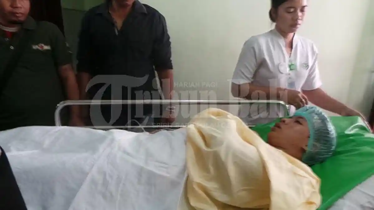Hanya Karena Berebut Cewek Gede Suka Ditusuk Pakai Taji
