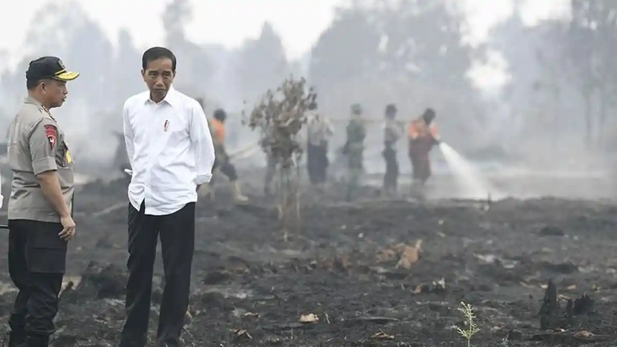 Jokowi Ancam Copot Pangdam dan Kapolda terkait Kebakaran Hutan
