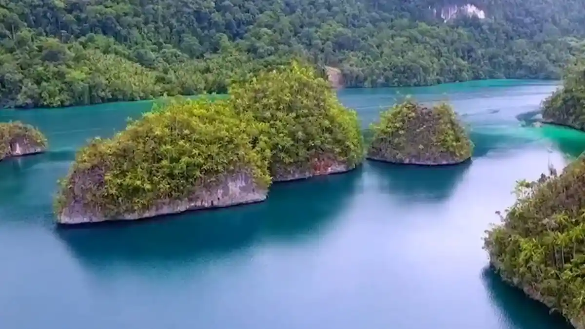 Mirip Raja Ampat, Teluk Triton di Kaimana Ini Bisa Jadi Pilihan Berlibur
