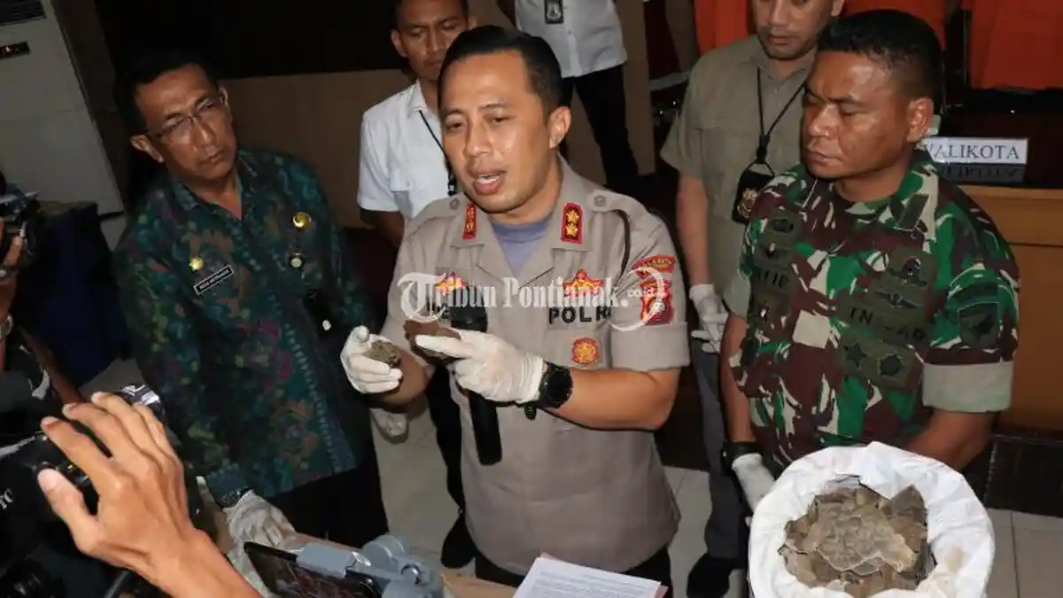 FOTO: Pengungkapan Kasus Perdagangan Gelap Sisik Trenggiling - perdagangan-sisik-trenggiling-3.jpg