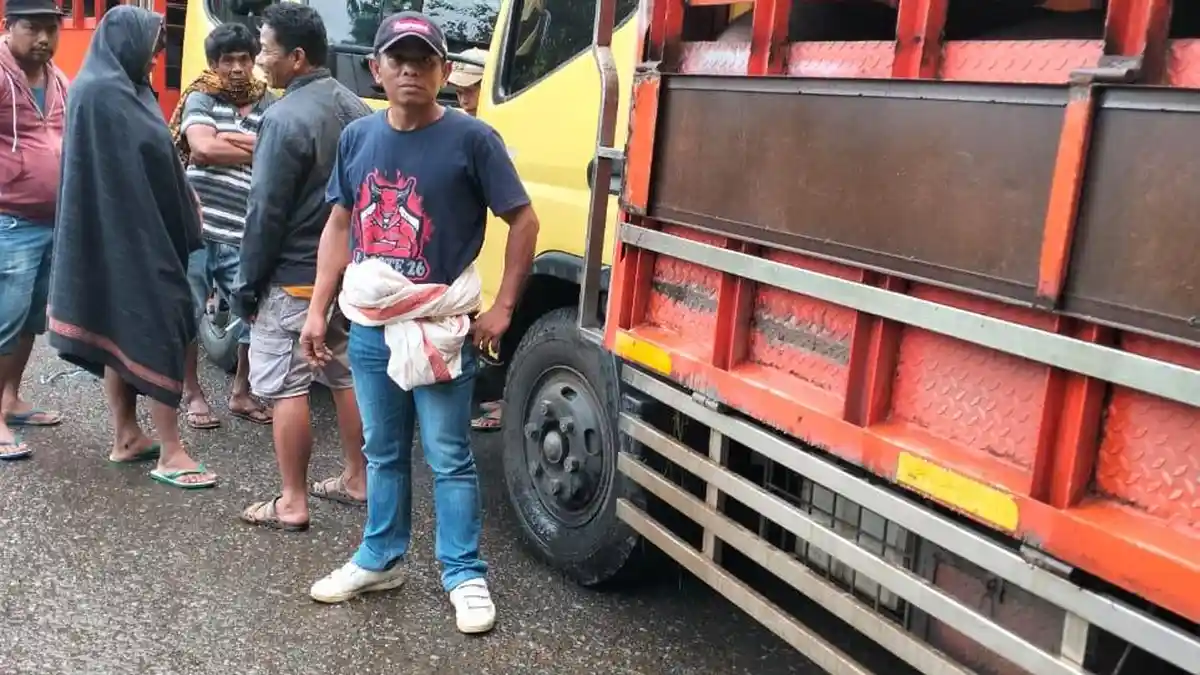 Pos Jaga di Perbatasan Toraja Utara-Palopo Kembali Diterobos, Bawa Ratusan Ekor Babi