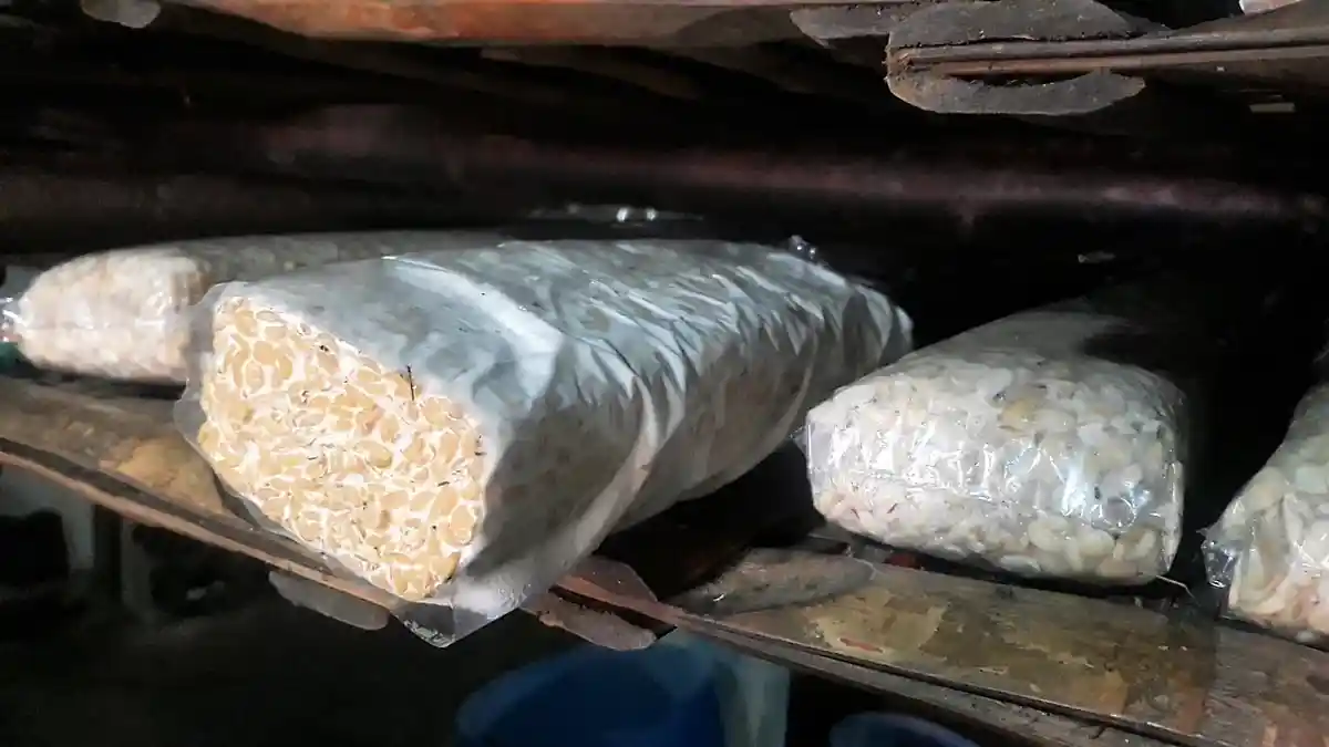 Meski Ada Kenaikan Harga, Stok Tahu dan Tempe di 11 Pasar Jakarta Utara Aman