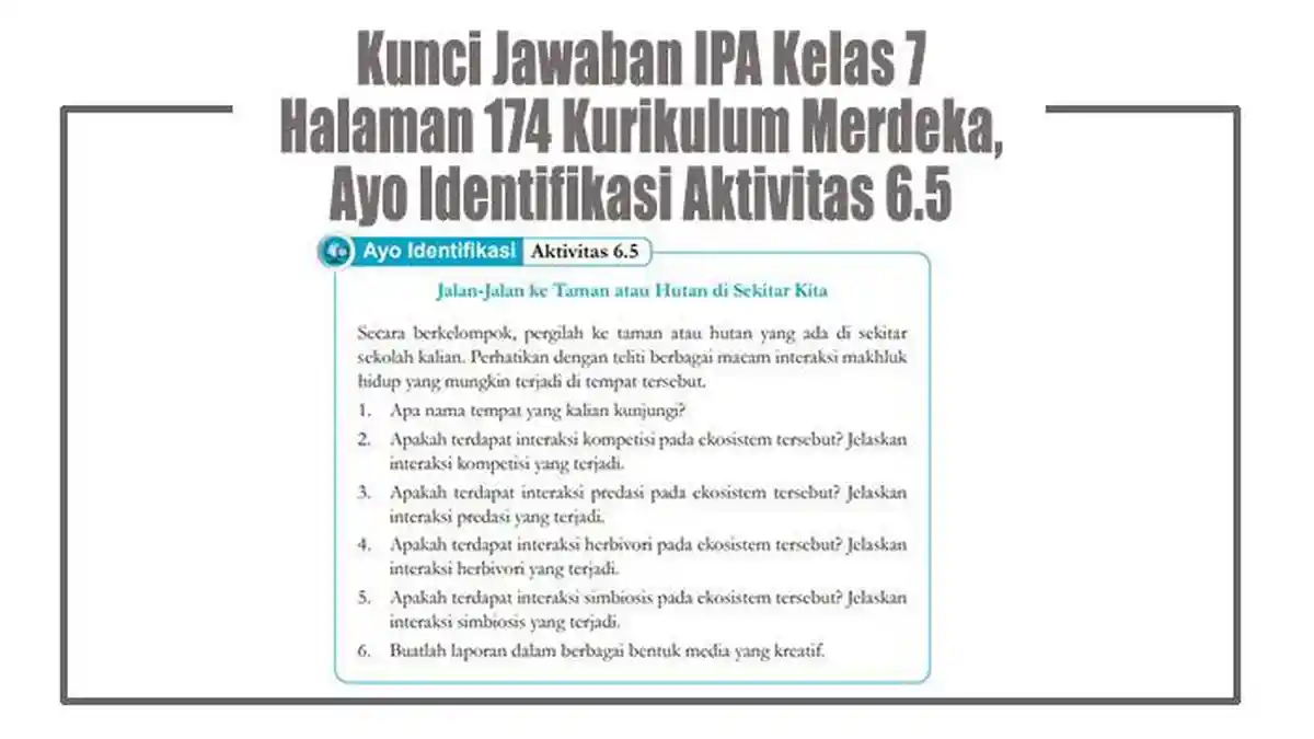 Jawaban Aktivitas 6.5 Mapel IPA Kelas 7 Halaman 174 Kurikulum Merdeka ...