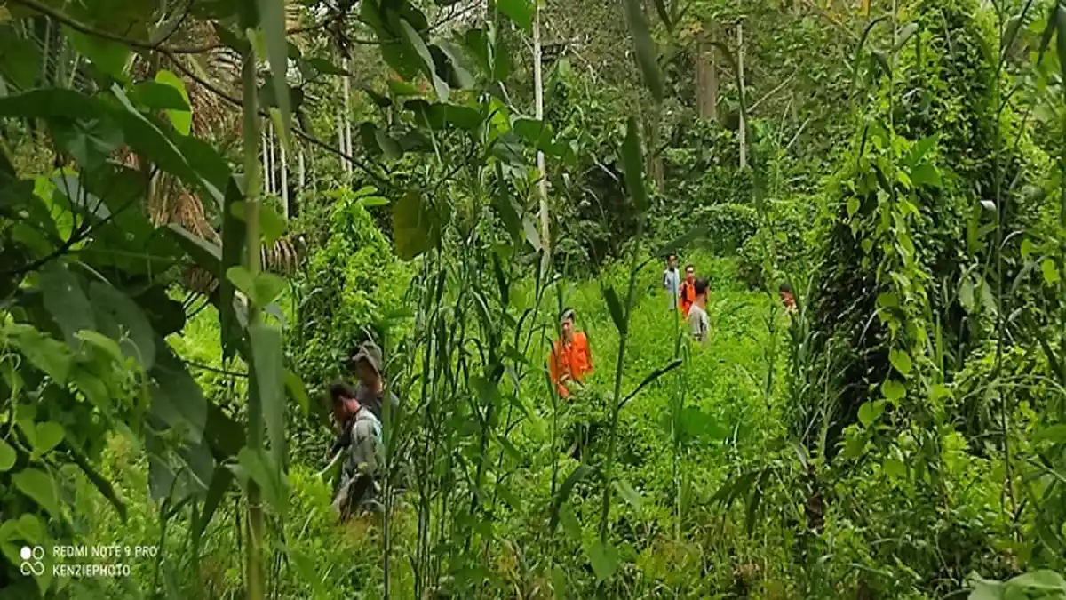 Hari Kedua Pencarian, Pria Hilang di Hutan Kolaka Timur Belum Ditemukan, Tim SAR Terkendala Cuaca