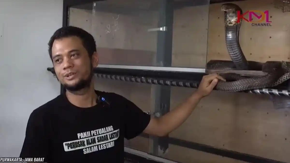 Drop Sejak Digigit King Kobra, Sosok Panji Petualang Berubah Drastis karena Sakit Gula