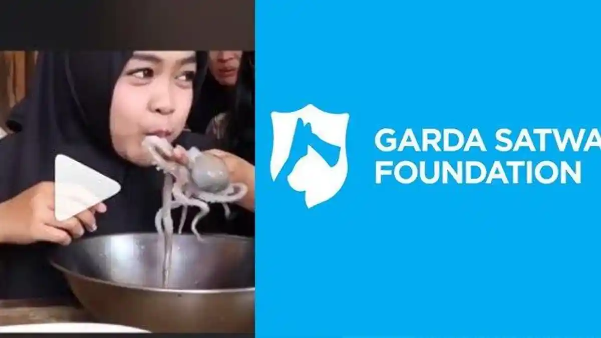 Makan Gurita Hidup, Ria Ricis Ditegur Keras Pecinta Satwa, Teman Verrell Bramasta Itu Diminta Ini