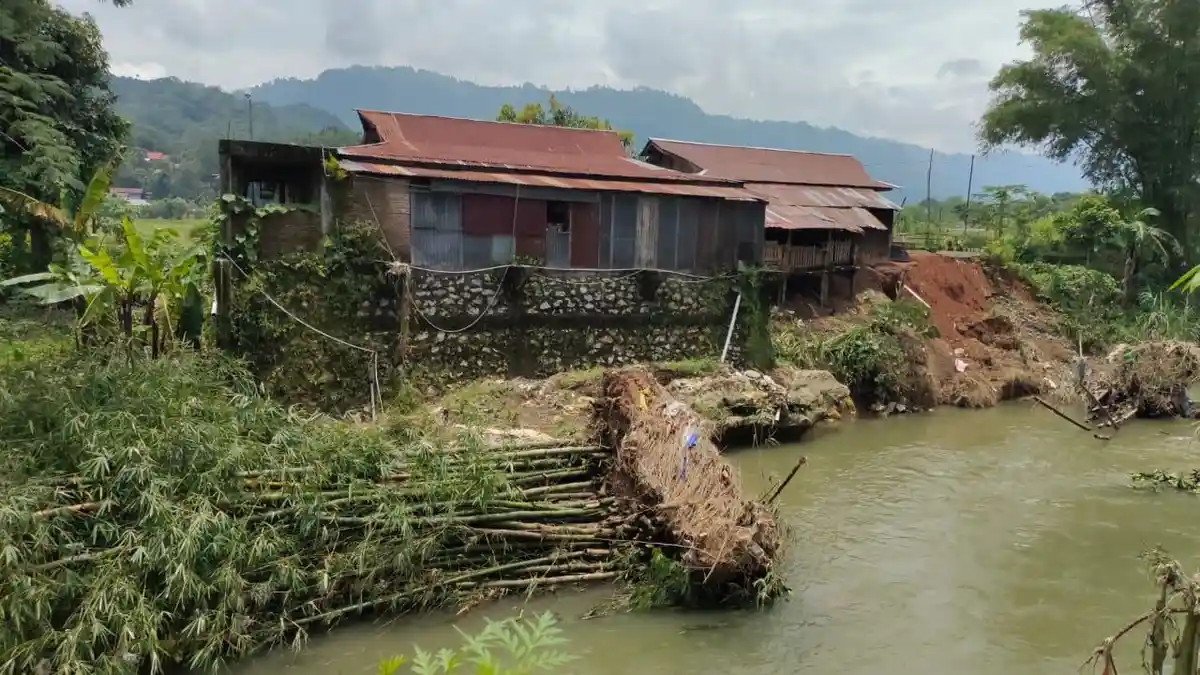 Pohon Bambu Tumbang ke Sungai di Lembah Keramat Rantepao Toraja Utara, Warga Khawatir Banjir