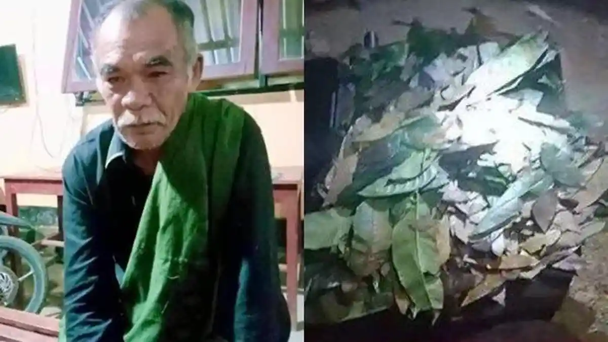 Wanita 28 Tahun Rela Terima Kakek 70 Tahun Karena Mahar Rp 3 Miliar, Ternyata Ditipu, Koper Isi Daun