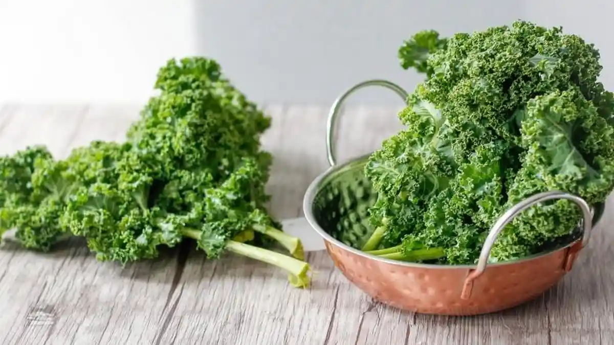 6 Manfaat Daun Kale yang Jarang Diketahui, Kaya Vitamin K