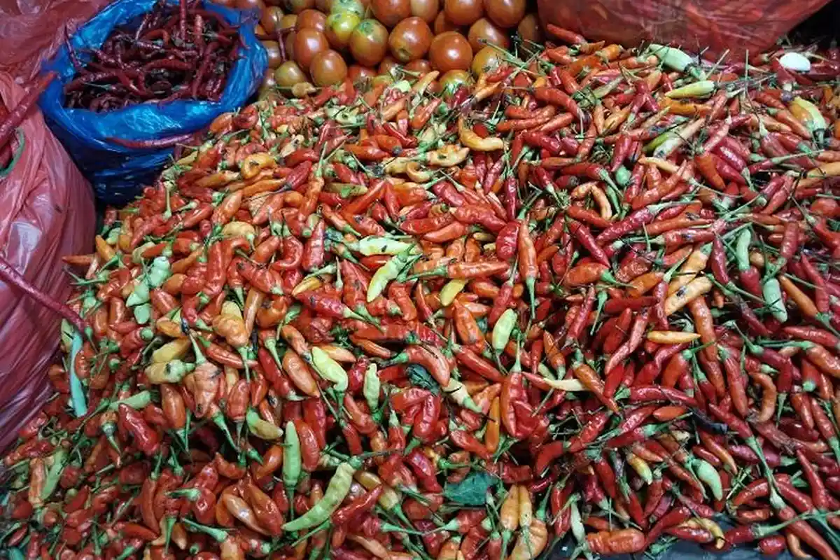 Ramadhan 2025,  Pedasnya Harga Cabai di Pasar Pharaa Sentani Tembus Rp 100 Ribu Per Kg