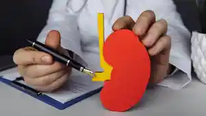 Ilustrasi-infeksi-ginjal.jpg