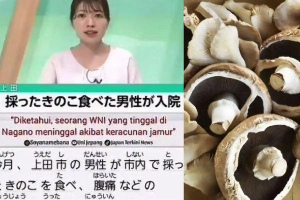 Aji TKI Tewas Makan 30 Jamur Meski Sudah Datangi 3 Instansi Kesehatan, Masuk Top Berita Media Jepang