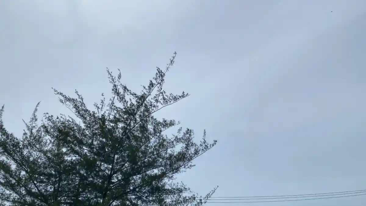 Prakiraan Cuaca Bengkulu Selatan Hari Ini Jumat 21 Februari 2025, Berawan Hujan Ringan