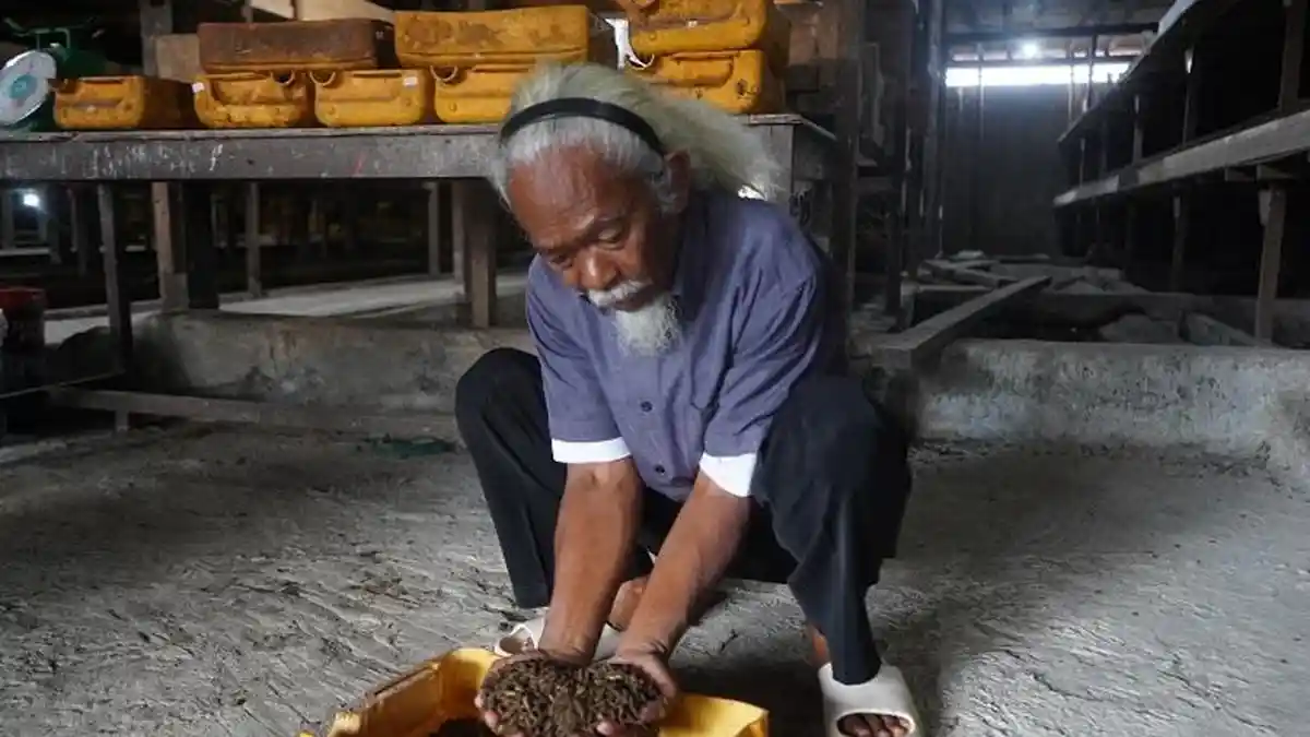 Budidaya Maggot Dinilai Jadi Solusi Makassar Menuju Bebas Sampah 2029