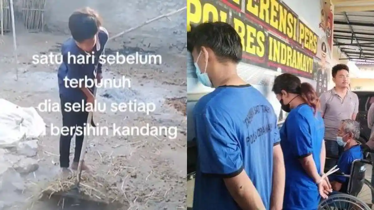 12 Hari Pasca Rauf Bocah di Subang Tewas, Warga Pemilik Kandang Sapi Rasakan Perbedaan: Jadi Sepi